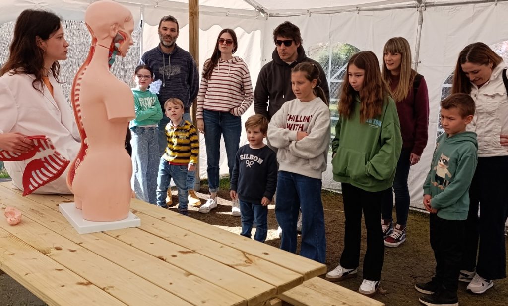 Planes educativos en familia este verano en madrid